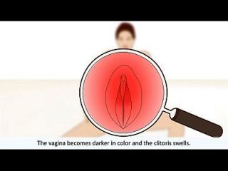 El Orgasmo Femenino Explicado