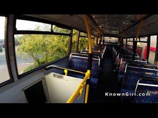 Peludo Británico Aficionado Flequillo En Autobús Público