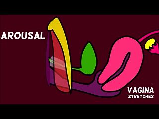 Cómo Funciona La Vagina
