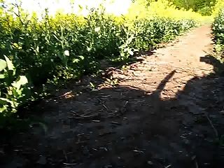 Tarde En El Campo De Canola Y Poco Teatro De Sombra